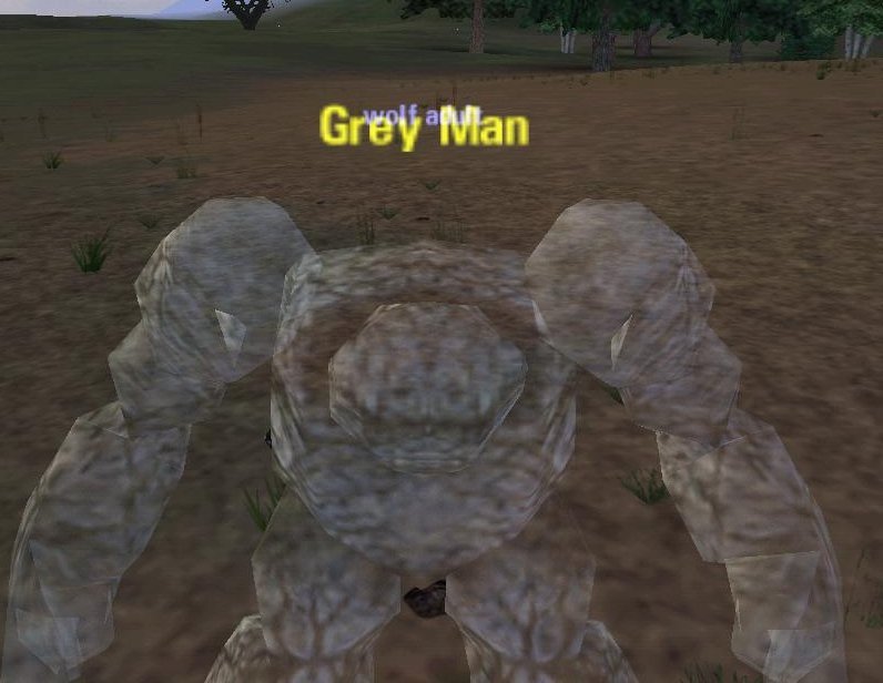 Picture of Grey Man